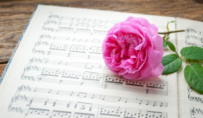 Klassieke muziek bij een uitvaart: troost, rust en herkenning in moeilijke tijden