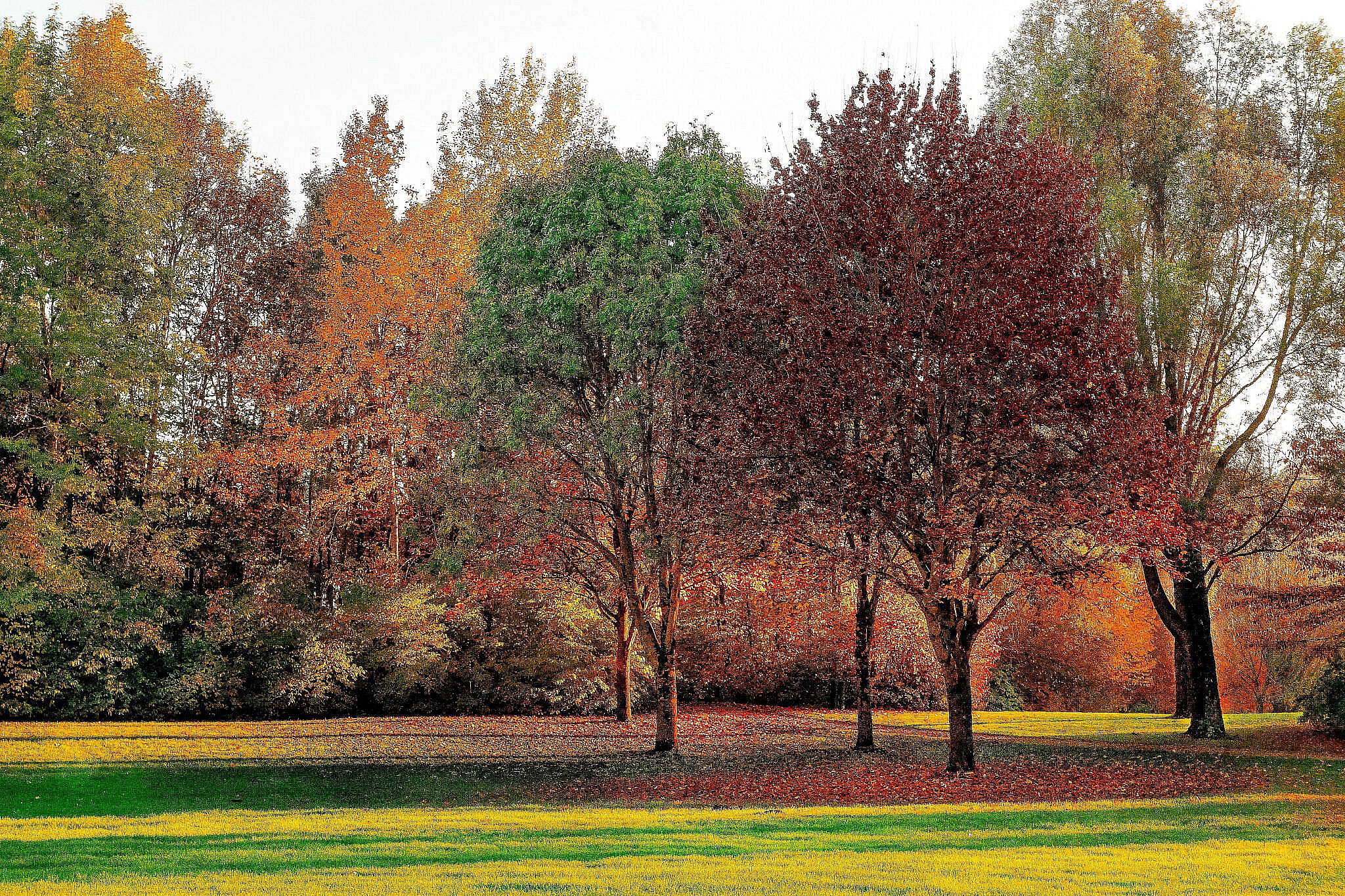 Natuurbegraafplaats regio Hoogeveen