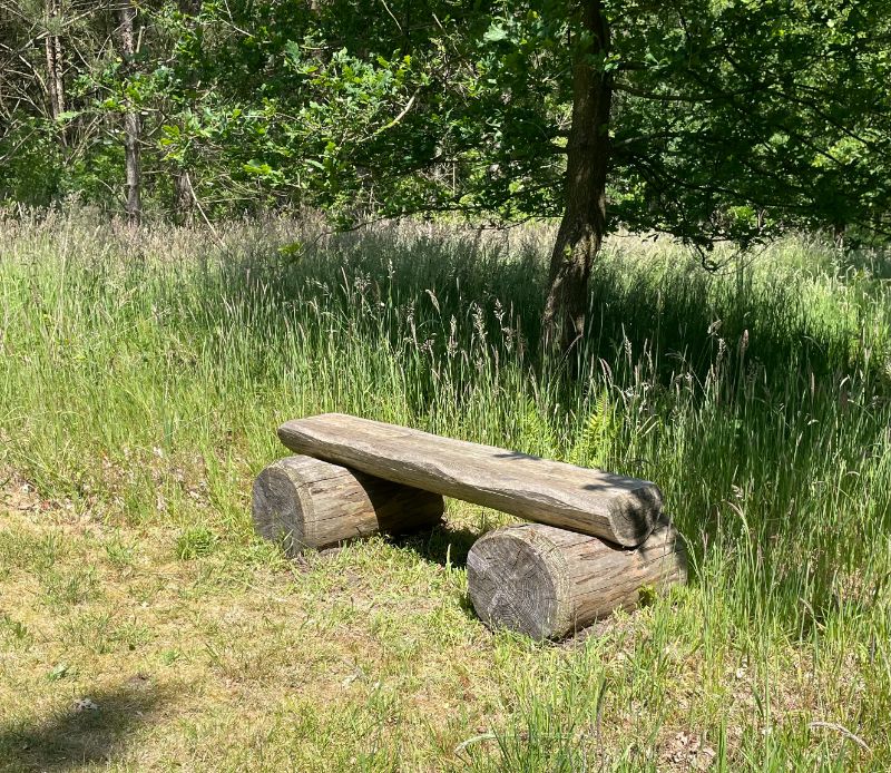 natuurbegraafplaats-bankje-herdenken-1 Begrafen in de natuur