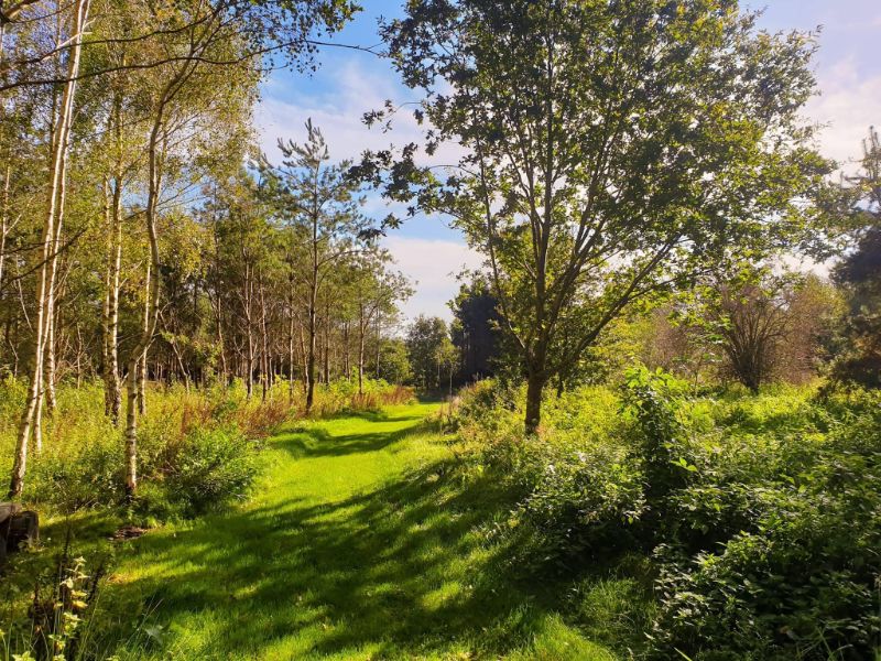 ugna-natuurbegraafplaats-7269